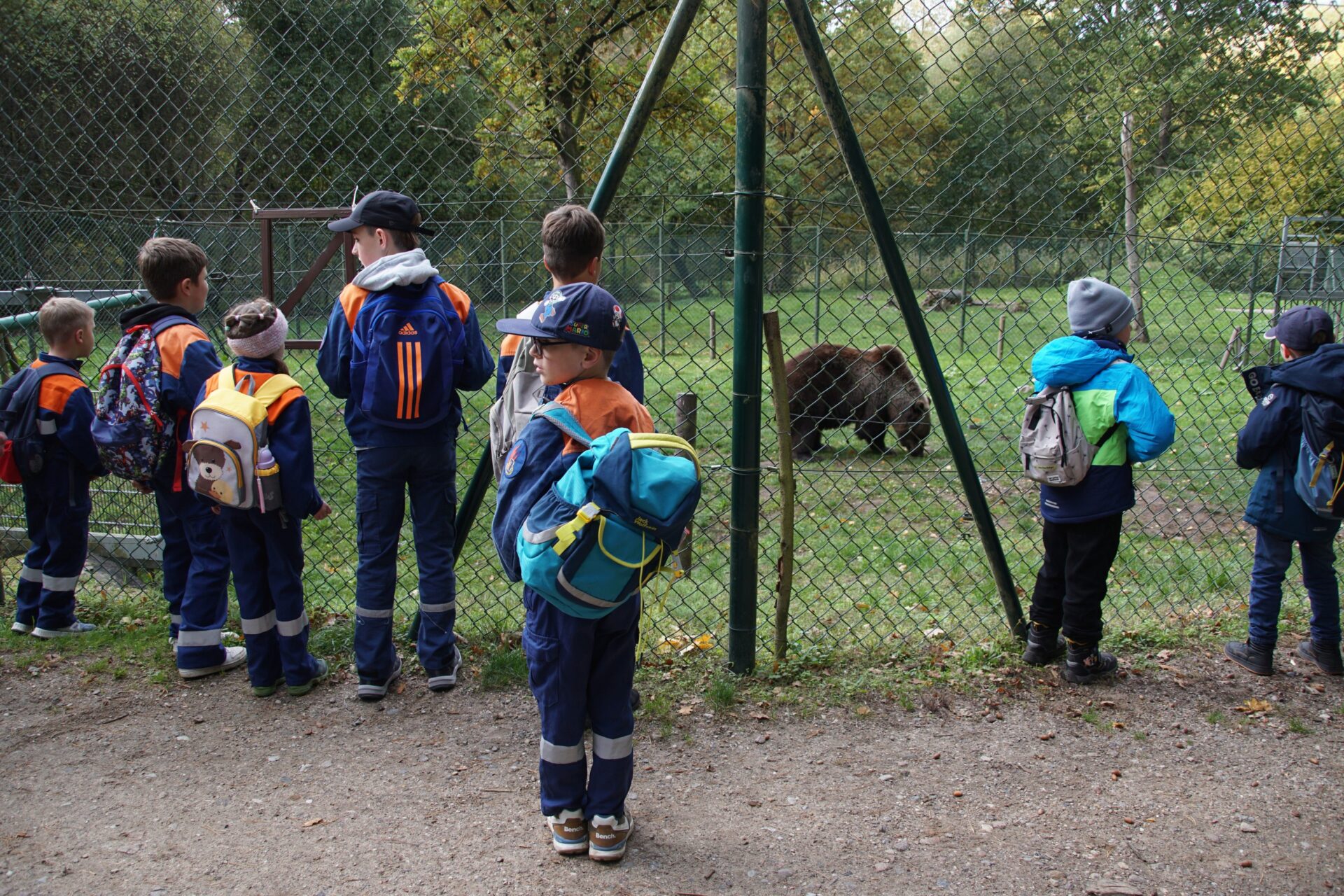 tag-der-kindergruppen-baerenwald-mueritz-oktober-2025-48-1920x1280